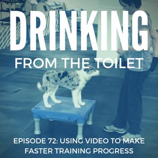 #72: Using Video to Make Faster Training Progress