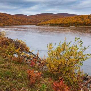 08/22: Keneltä luontoa suojellaan? Aslak Holmbergin mukaan Tenojoen kalastuskiellossa näkyy kolonialismi