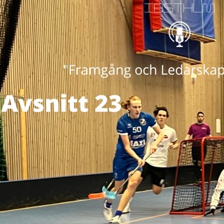 Framgång och Ledarskap