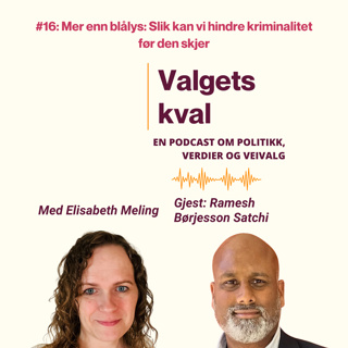 #16: Mer enn blålys: Slik kan vi hindre kriminalitet før den skjer