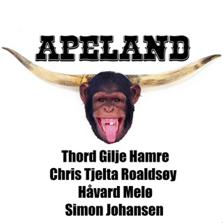 Thord Gilje Hamre, Chris Tjelta Roaldsøy, Håvard Melø & Simon Johansen