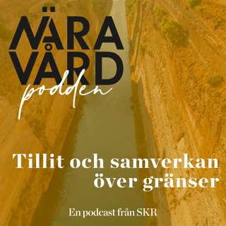 Tillit och samverkan över gränser