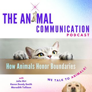 How Animals Honor Boundaries