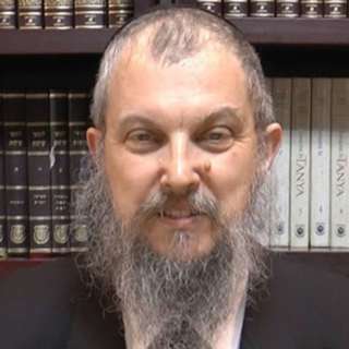Dvar Malchus: Rabbi Ronnie Fine, Synopsis, Sicha 1 - Part 2