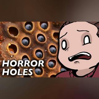 Why Trypophobia Is Not Real and How to Cure It