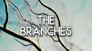 The Branches