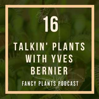 16. Talkin' Plants with Yves Bernier