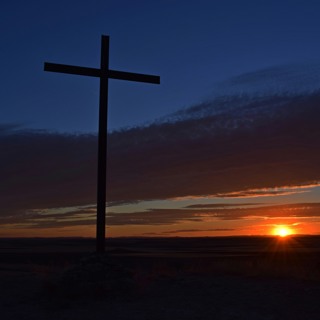 WHO WANTS TO BE JESUS? – Homily for Palm Sunday March 29, 2026