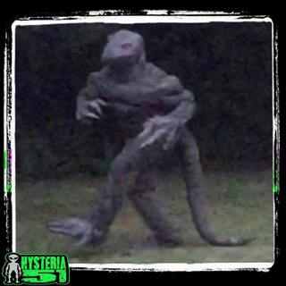 Marsh Mysteries: Decoding the Lizard Man Legend | 363