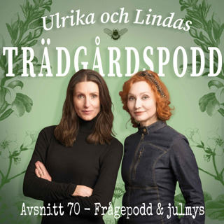 Avsnitt 70 - Frågepodd och julmys