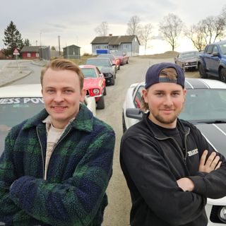 Friskt blod, plenty med hester