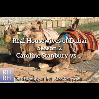 Real Housewives of Dubai Season 2 Caroline Stanbury vs…