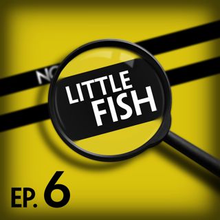 Little Fish: This Could Tail Off Really Quickly