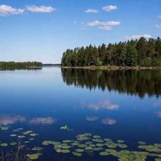 142. Lasaretinsaari