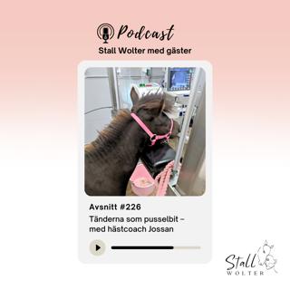 #226 – Tänderna som pusselbit – med hästcoach Jossan