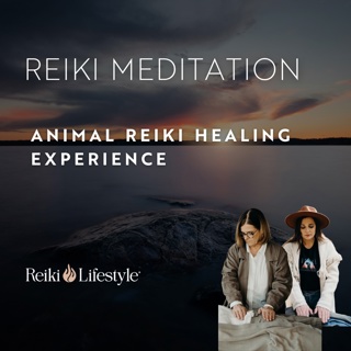 Animal Reiki Journey: Step Into the Circle of Life