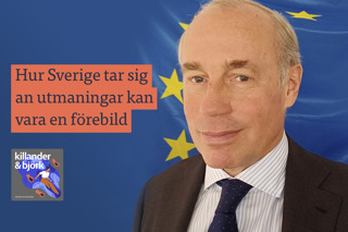 Erik von Pistohlkors. Potentialen i EU-ordförandeskapet