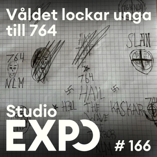 166. Våldet lockar unga till 764
