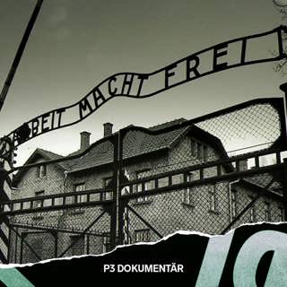 Skyltstölden i Auschwitz