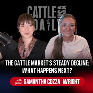 407: The Cattle Market’s Steady Decline: What Happens Next? with Samantha Cozza-Wright