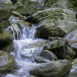 đŽđ§đ” The Symphony of STREAMS and the Musical SOFTNESS, Keys to a Restful NIGHT