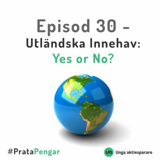 Episod 30 - Utländska Innehav, Yes or No?