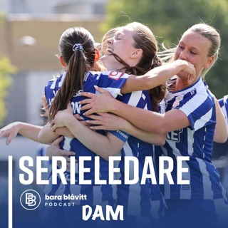 824. DAM Serieledare