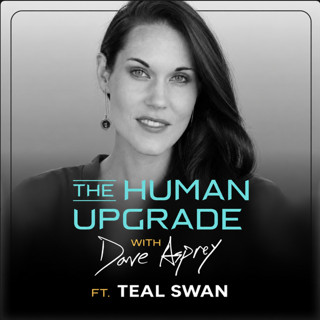 Teal Swan - Beyond the Veil of Ego, AI & Wisdom : 1539