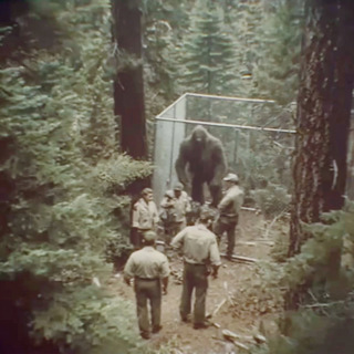 8 TRUE SCARY HUNTING HORROR STORIES