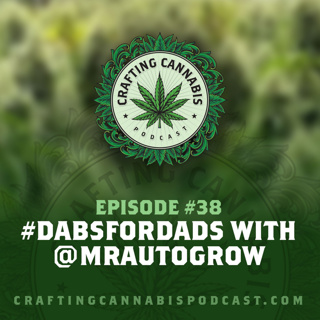 #38 - #dabsfordads with @mrautogrow