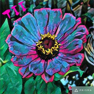 Tii - iTem 0402 - iOS 10 Beta 6