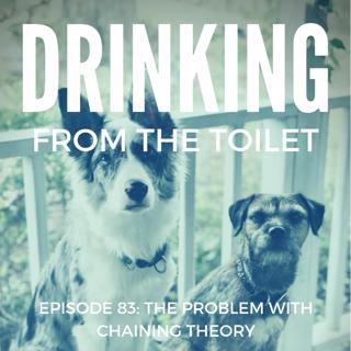 #83: The Problem with Chaining Theory