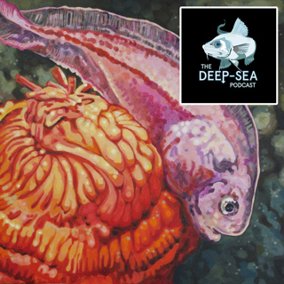 The Unseen Ocean Collective