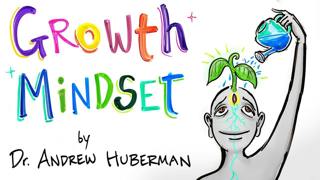 How Feedback Affects Performance - Andrew Huberman - Growth Mindset | After Skool