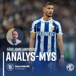 619. Analys-mys