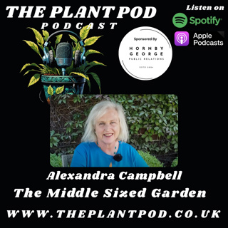 Alexandra Campbell (Journalist, Author, Video Creator)