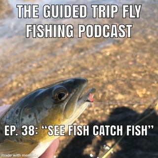 Ep. 38: "See Fish Catch Fish"