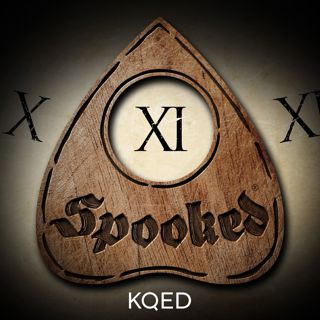Season 11 Trailer: The Spooked Field Guide to the Shadow