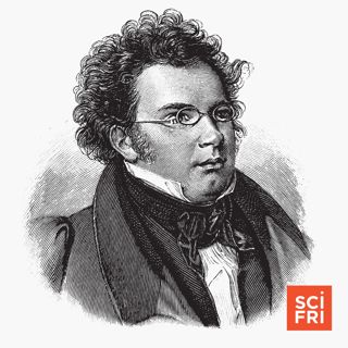 Wait, is my washing machine playing Schubert?