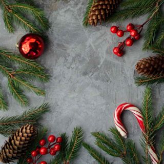 Skogsfredag, Avsnitt 93 - En God Jul bland skyddade arter och nyckelbiotoper