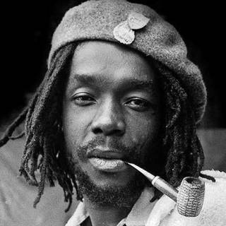 PETER TOSH TRIBUTE MIX