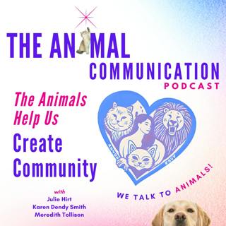 The Animals Help Us Create Community