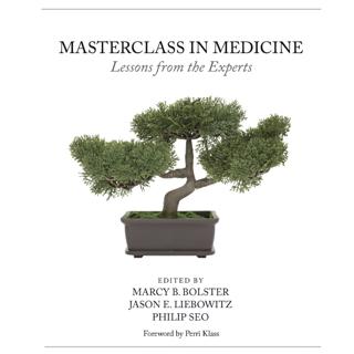 The Art of Doctoring with Bolster, Liebowitz, and Seo