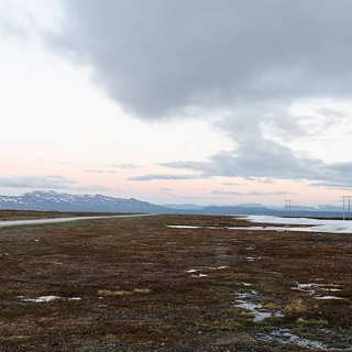 Direktsändning från Flatruet om trädgräns, fjällräv och blåhake
