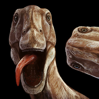When The Sauropods Just…Stopped