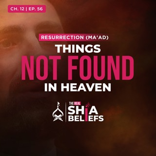 12/56: Things You Won't Have to Suffer in Heaven | The Real Shia Beliefs