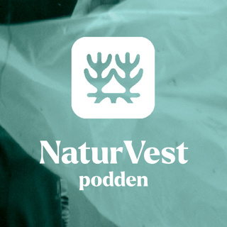 Mikroplast fra skipsvask
