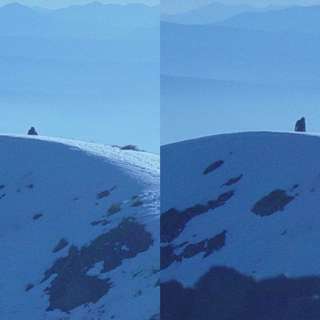 Sasquatch science