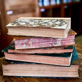 Our best gardening books of 2022