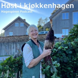 41/26: Høst i kjøkkenhagen med Anne Endresen